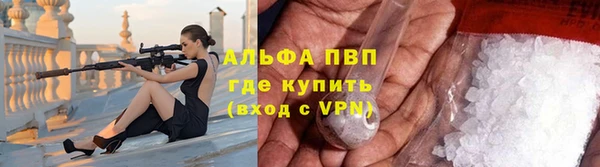 стаф Абаза