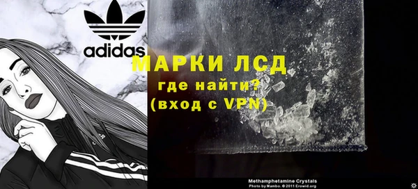 стаф Абаза
