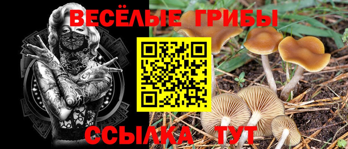 Псилоцибиновые грибы Magic Shrooms Туапсе
