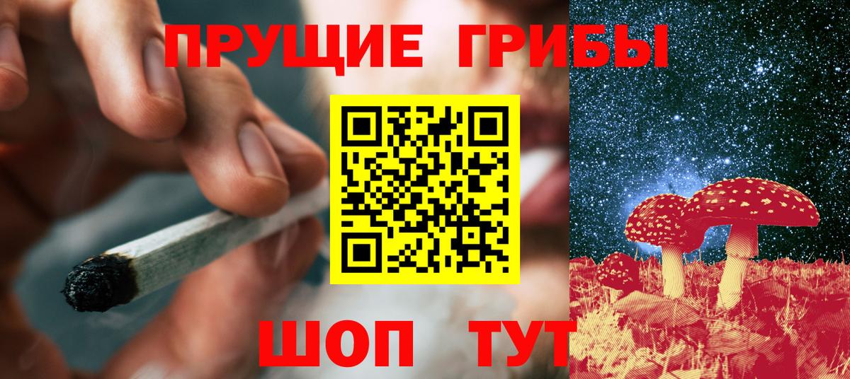 наркотики  Вход с VPN  Туапсе  Галлюциногенные грибы Psilocybe 