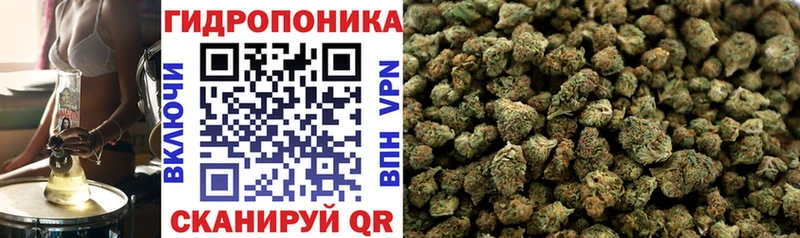 Канабис сатива Туапсе